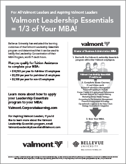 Valmont Leadership MBA Flyer